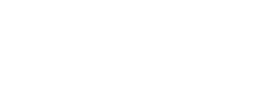 NAVE Logo